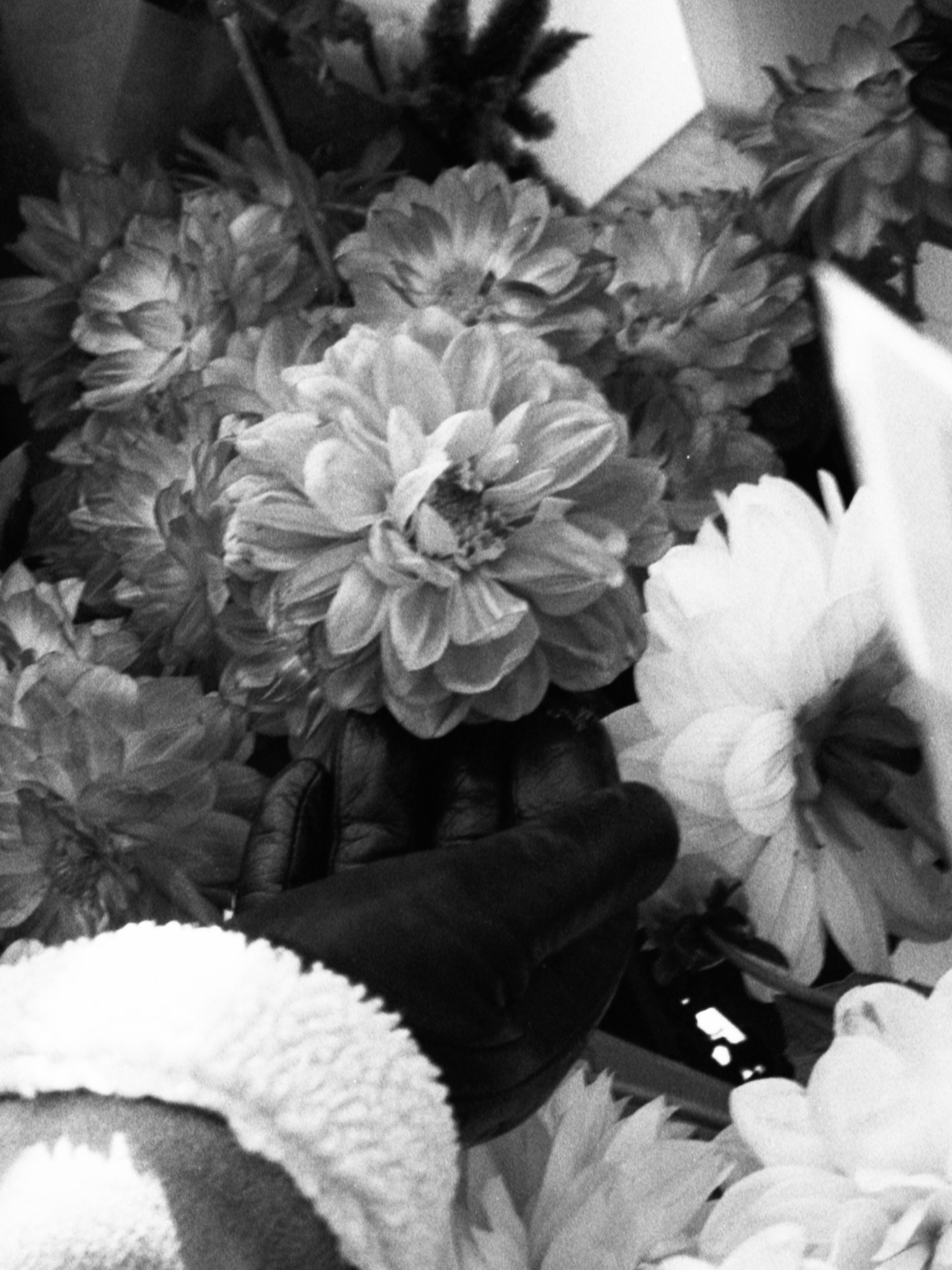 Black and white photograph
